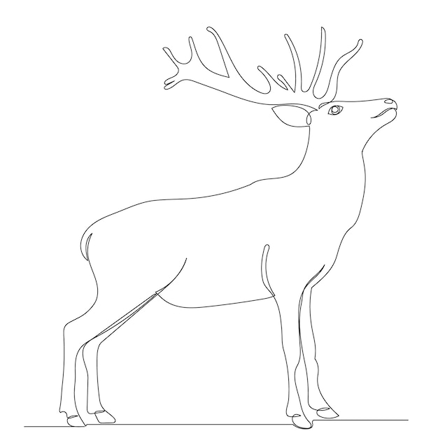 Premium Vector One continuous line drawing of a deer with antlers, sketch