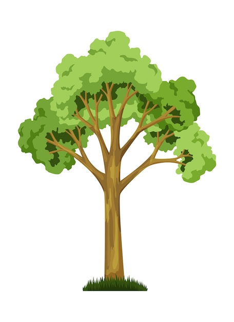 木の成長段階の1つ 緑の葉と枝 自然植物と大きな木の成長 プレミアムベクター