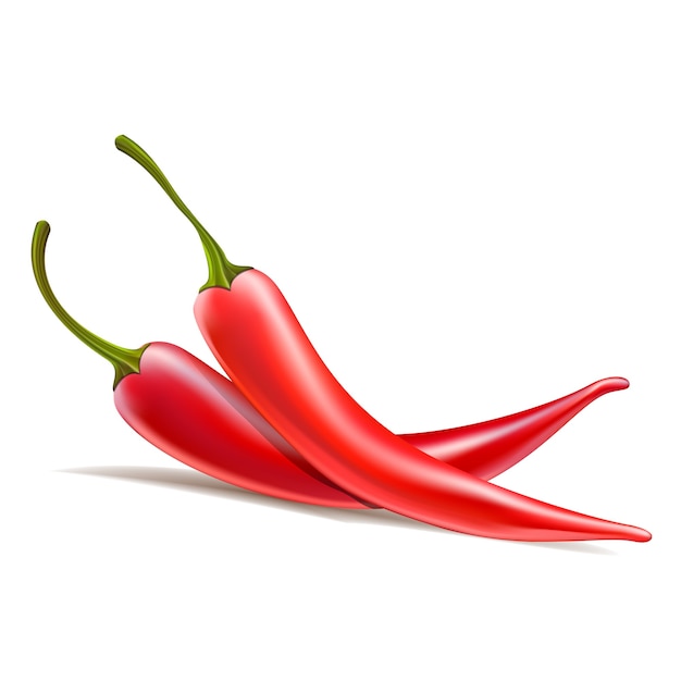 Download Free Vector One Red Chili Pepper Is The Other