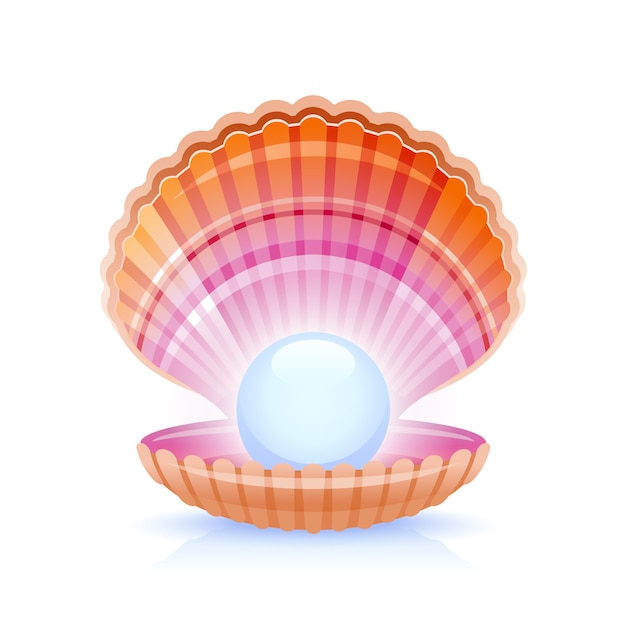 Premium Vector | Open sea shell with pearl, realistic vector illustration.