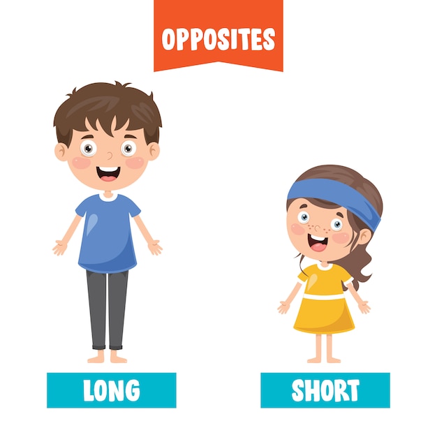 Opposite adjectives with cartoon drawings | Premium Vector