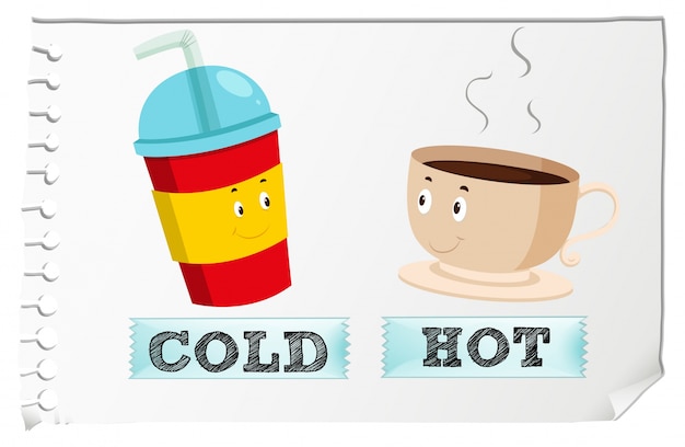 Opposite adjectives with cold and hot Vector | Free Download