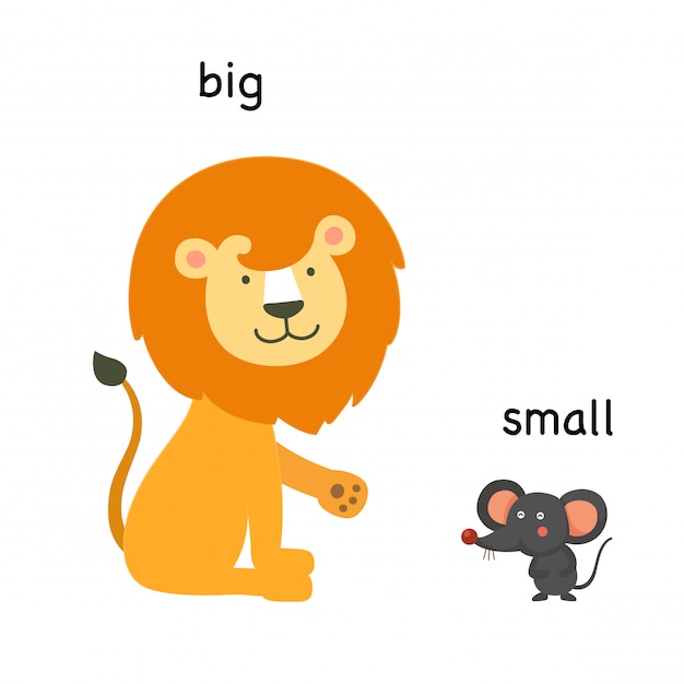 Opposite big and small vector illustration | Premium Vector