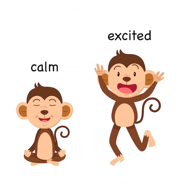 opposite-calm-and-excited-enemy-vector-illustration-premium-vector