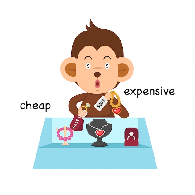 Premium Vector | Opposite cheap and expensive illustration