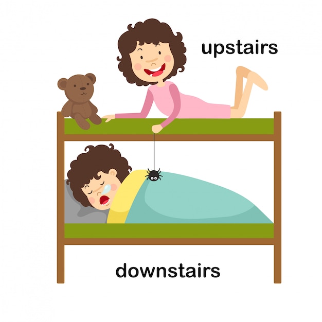 opposite-downstairs-and-upstairs-vector-illustration-premium-vector