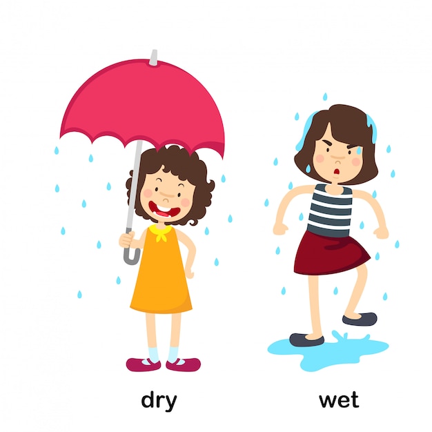 opposite-dry-and-wet-vector-illustration-premium-vector