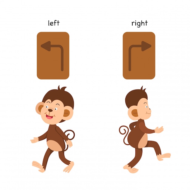 Premium Vector | Opposite left and right vector illustration