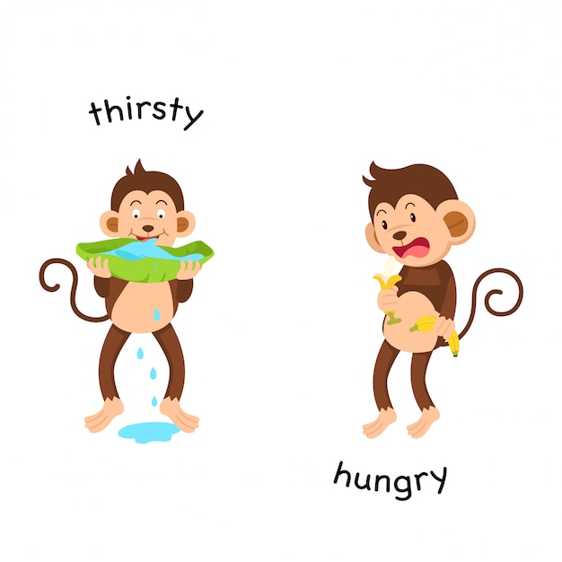 premium-vector-opposite-thirsty-and-hungry-illustration