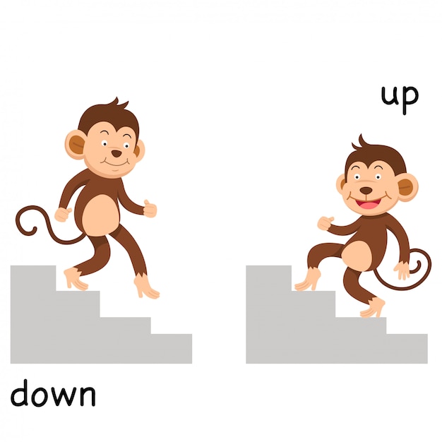 Premium Vector Opposite Up And Down Illustration