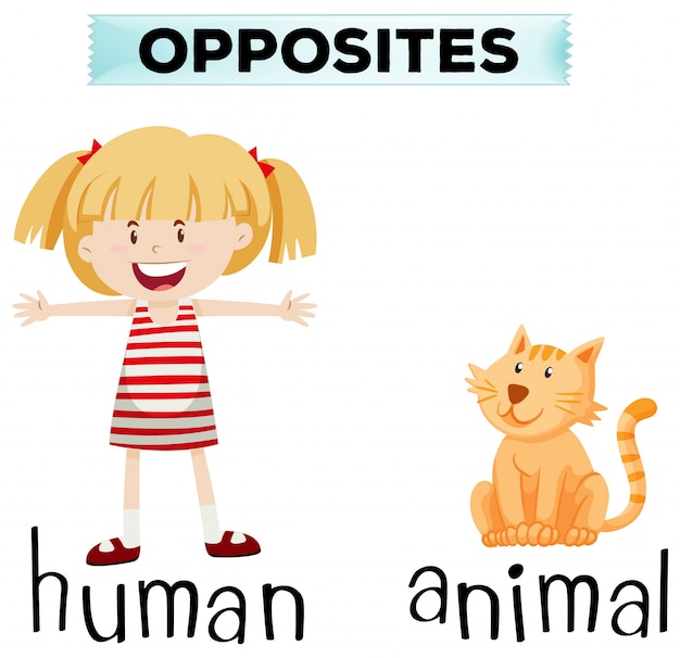 Opposite wordcard for human and animal