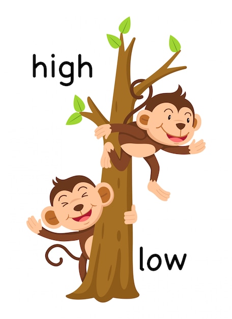 Opposite words high and low | Premium Vector