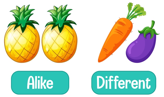 free-vector-opposite-words-with-alike-and-different