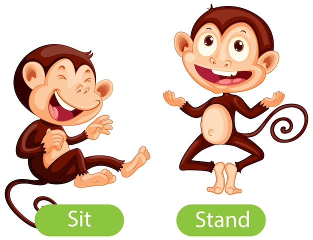 free-vector-opposite-words-with-sit-and-stand