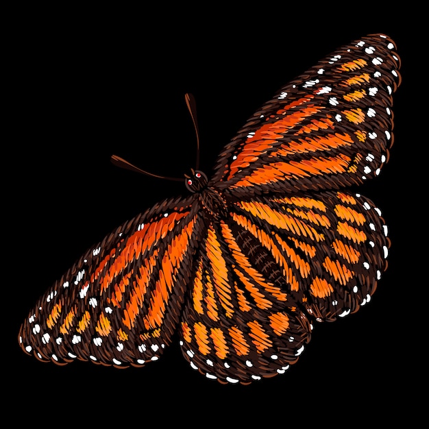 Free Free 284 Orange Butterfly Svg SVG PNG EPS DXF File