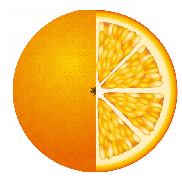 Download Orange citrus fruit | Premium Vector