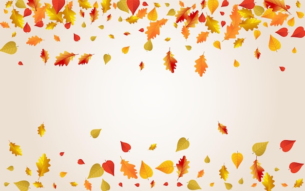 Premium Vector Orange Floral Transparent Background November Leaves Illustration