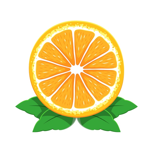 Download Premium Vector | Orange fruit sliced vector