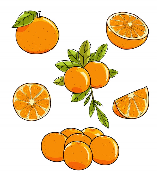 Free Free Orange Fruit Svg 286 SVG PNG EPS DXF File