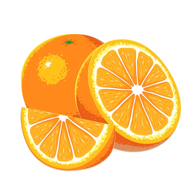 Download Premium Vector | Orange fruits vector