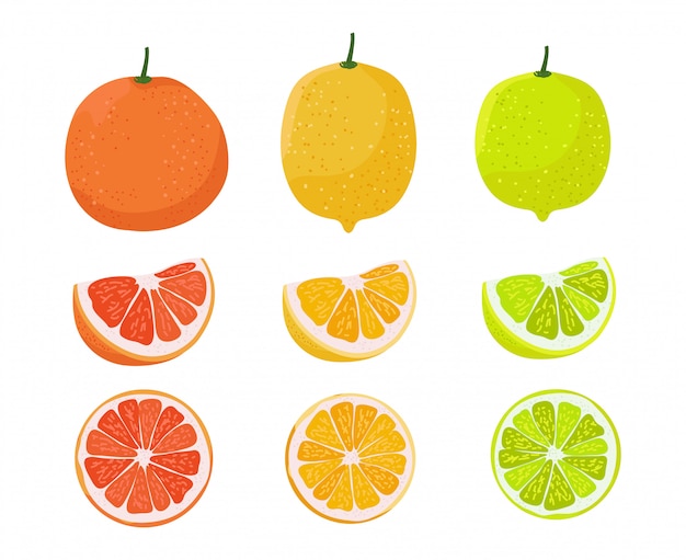 オレンジ レモン ライムのイラスト 柑橘類の家族のイラスト プレミアムベクター