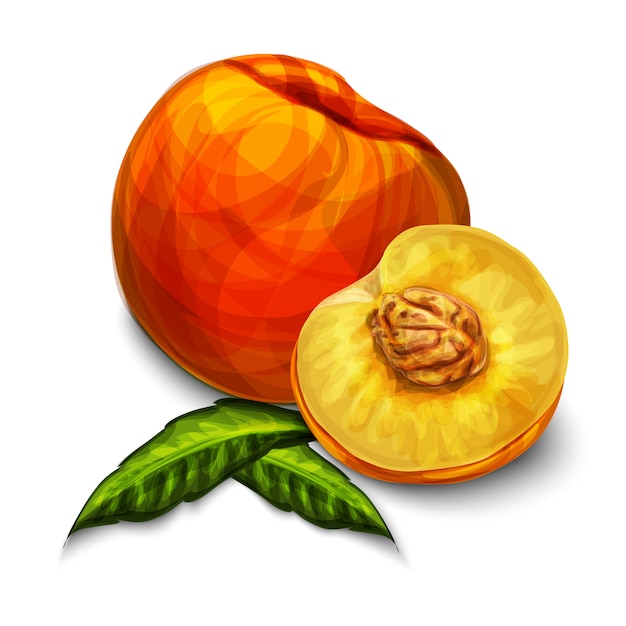 Free Free Orange Fruit Svg Free 403 SVG PNG EPS DXF File