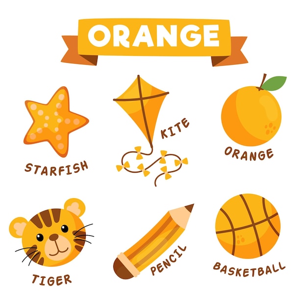 Free Vector | Orange objects and vocabulary set in english