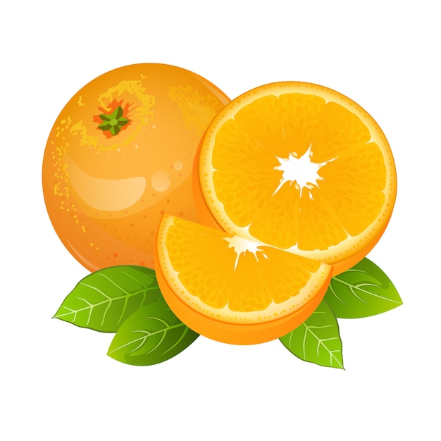 Download Orange slice fruit icon Vector | Premium Download