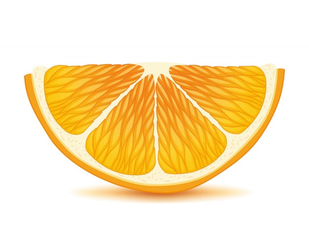 Orange Slice Juicy Citrus Illustration Premium Vector 5006