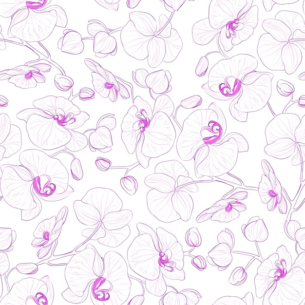 Download Orchid seamless pattern. | Free Vector