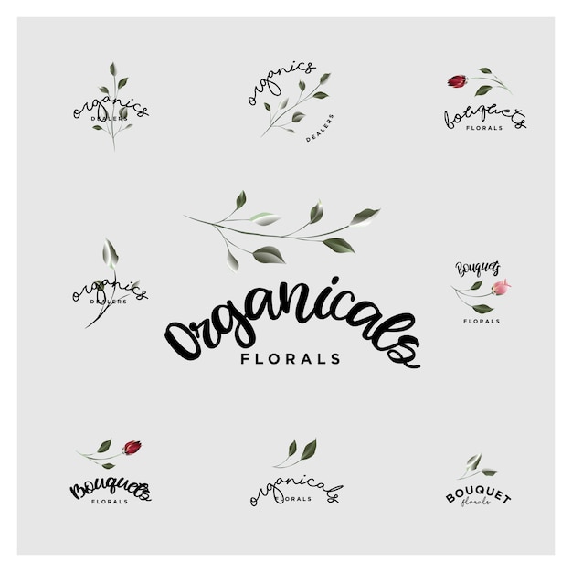 Premium Vector | Organic botanical bouquet and floral logos