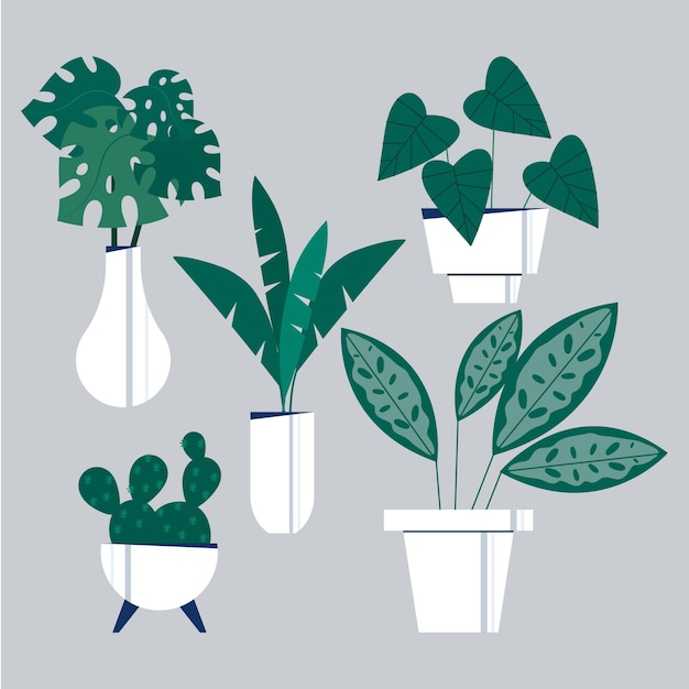 Free Vector | Organic flat design houseplant collection