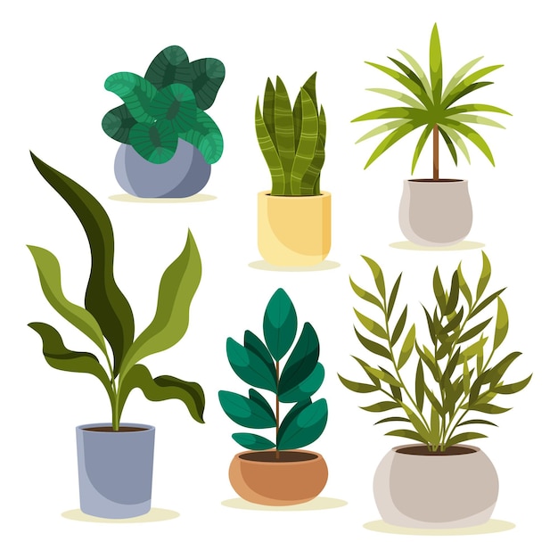 Free Vector | Organic flat houseplant collection