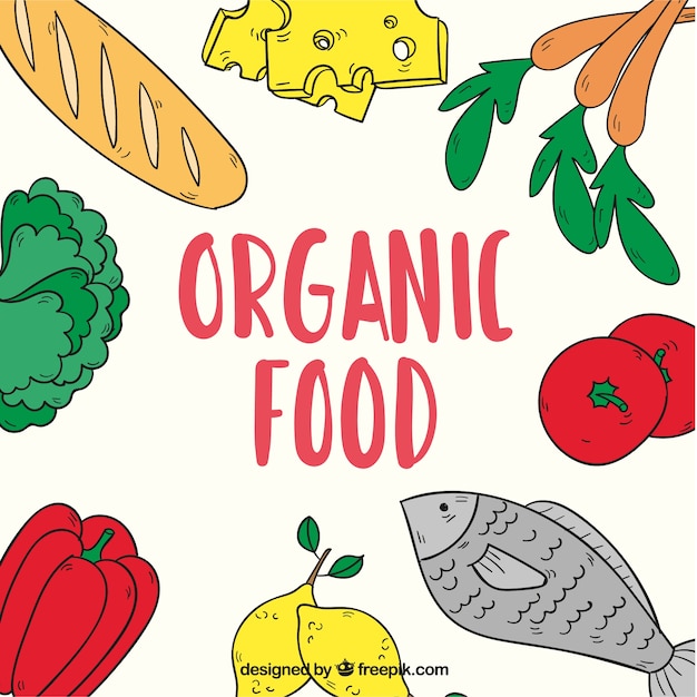 Organic food, hand drawn background