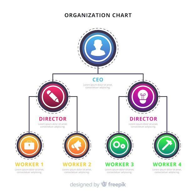 Organization Chart Vector