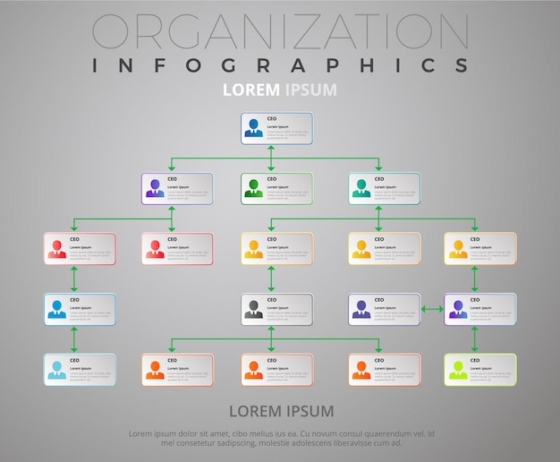 Premium Vector | Organization infographic template