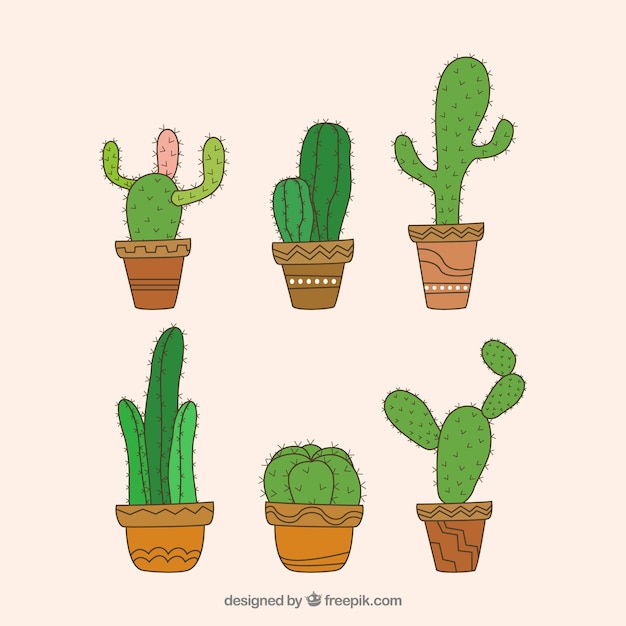 Original variety of hand drawn cactus | Free Vector