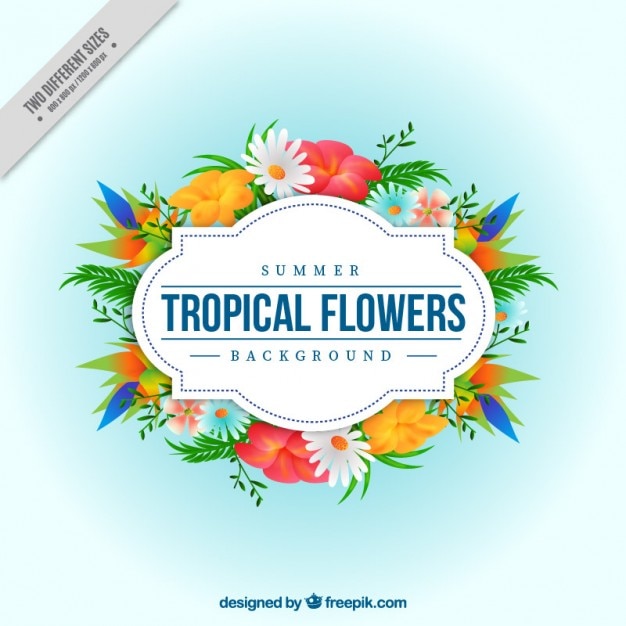 Ornamental tropical flowers background