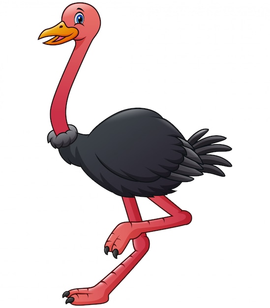 Premium Vector | Ostrich animal cartoon isolated