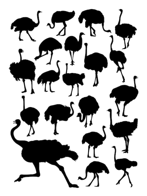 Download Premium Vector | Ostrich silhouette