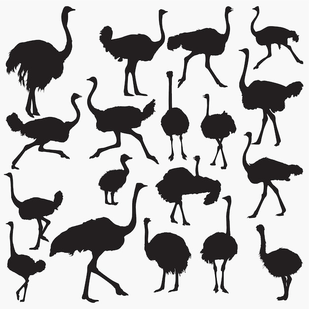 Download Ostrich silhouettes Vector | Premium Download