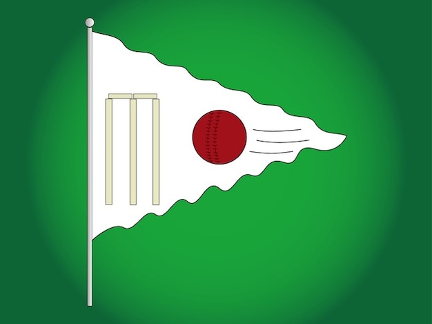Outdoor cricket game flag vector