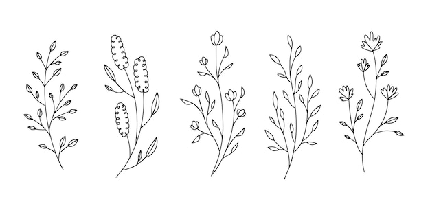 Premium Vector | Outline isolated black and white flowers line cute ...