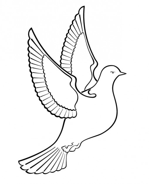 Free Vector | Outlined dove bird