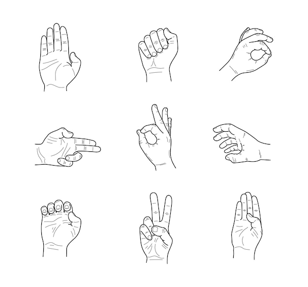 Premium Vector | Outlined hands in various positions.