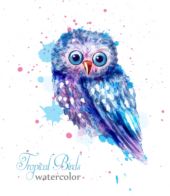 Download Owl bird colorful watercolor Vector | Premium Download