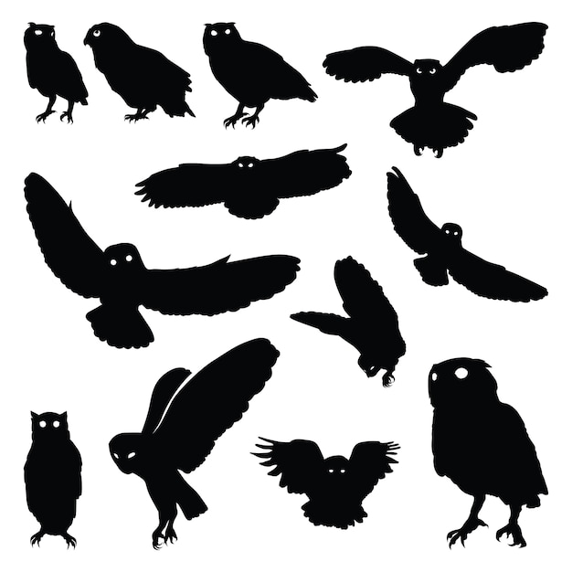 Owl bird flying stand motion silhouette set Vector