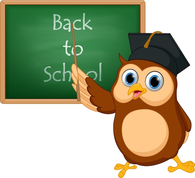 Premium Vector | Owl cartoon pointing chalkboard