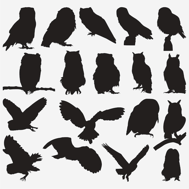 Premium Vector | Owl silhouettes