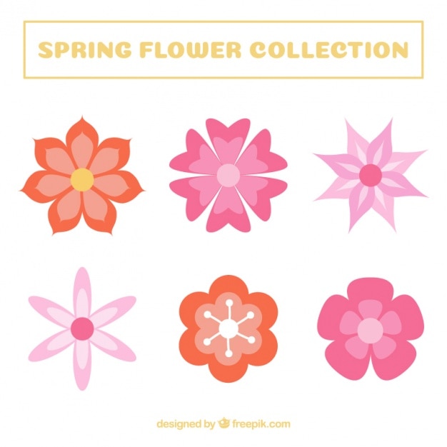 Free Vector | Pack of decorative floral elements